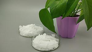 某填充母料廠家通過行業(yè)年會(huì)與賽諾新材達(dá)成長(zhǎng)期合作