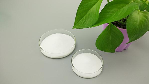 除了提供優(yōu)質(zhì)聚乙烯蠟，賽諾新材更注重服務